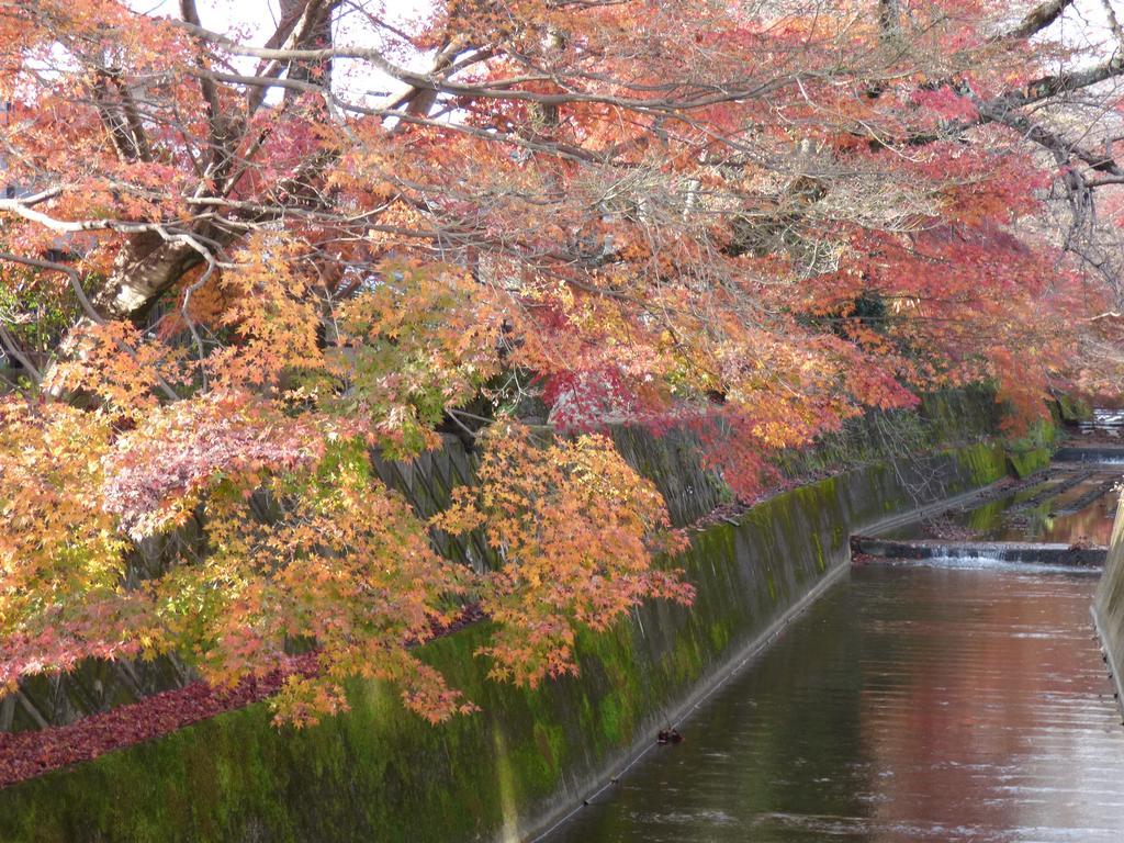 Saizen Matsumuro Stay Kioto Exterior foto