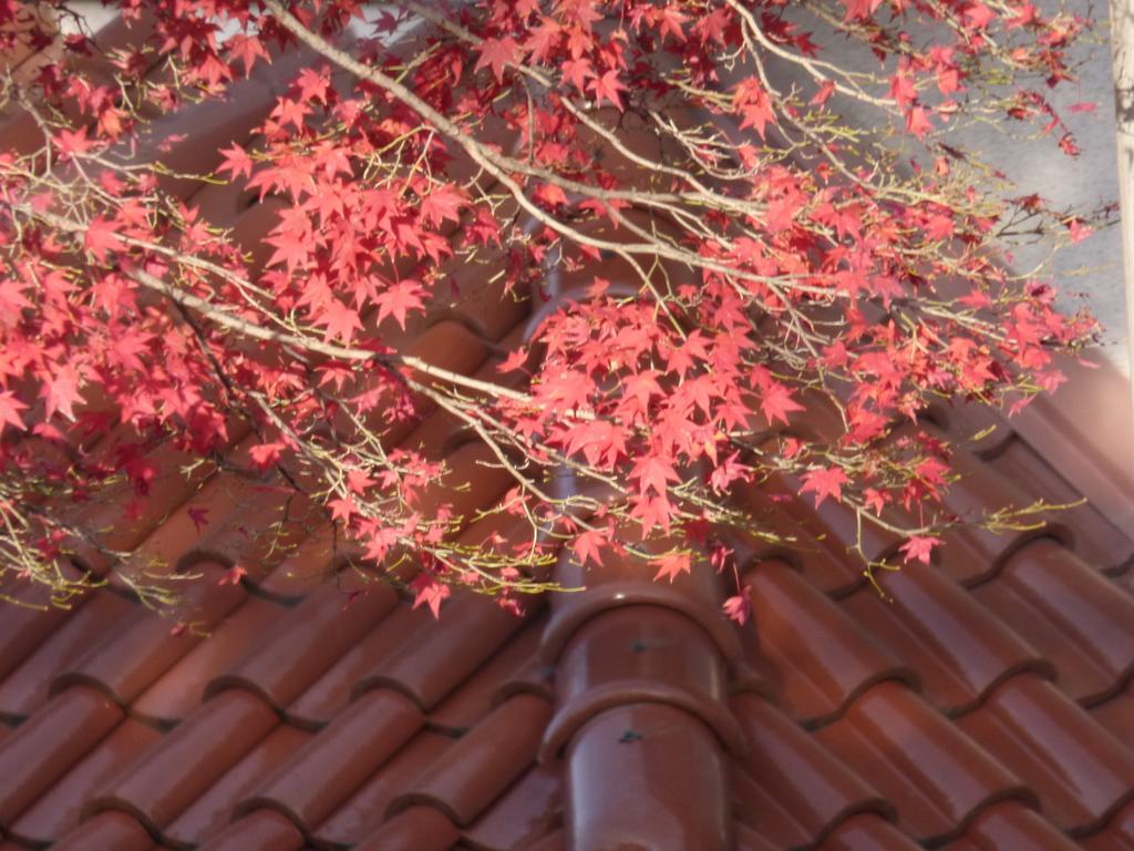 Saizen Matsumuro Stay Kioto Exterior foto