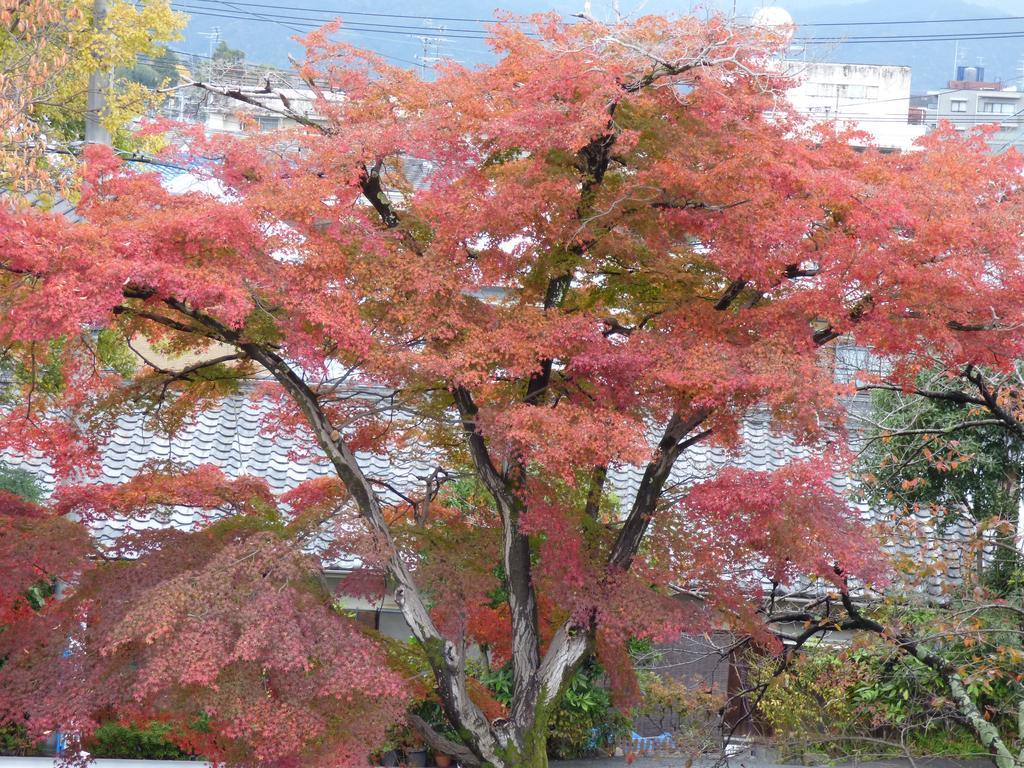Saizen Matsumuro Stay Kioto Exterior foto