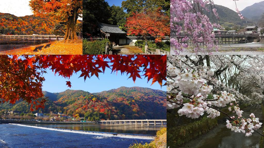 Saizen Matsumuro Stay Kioto Exterior foto