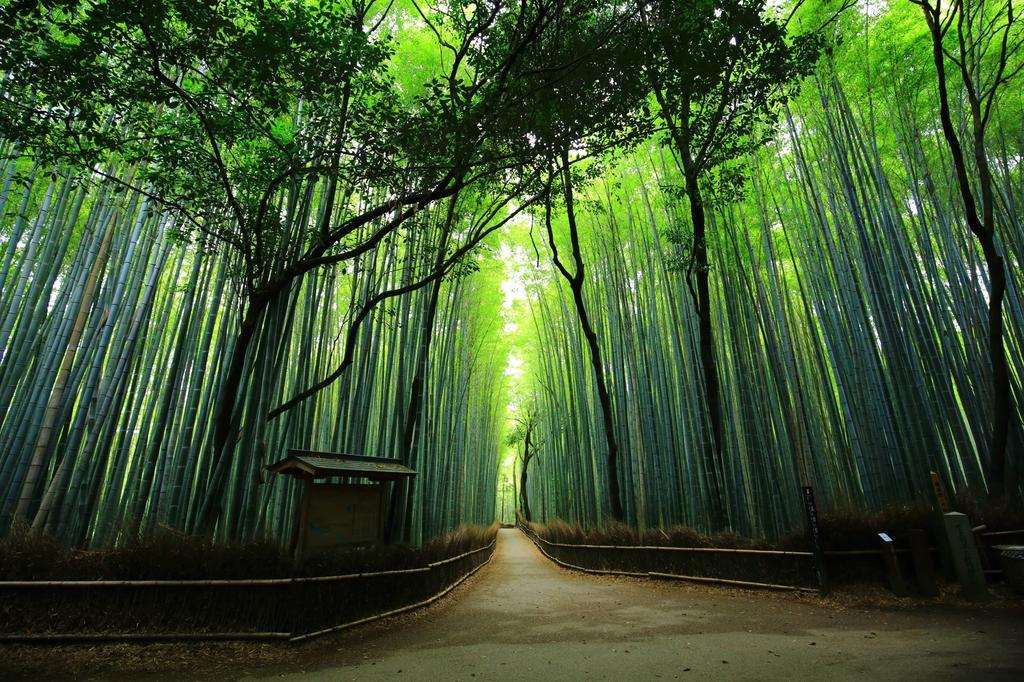 Saizen Matsumuro Stay Kioto Exterior foto