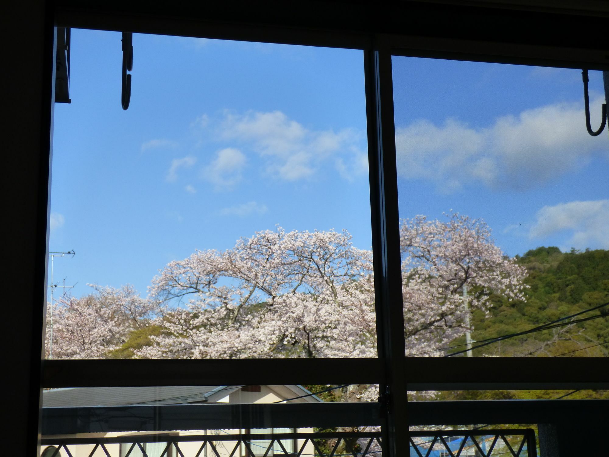 Saizen Matsumuro Stay Kioto Exterior foto